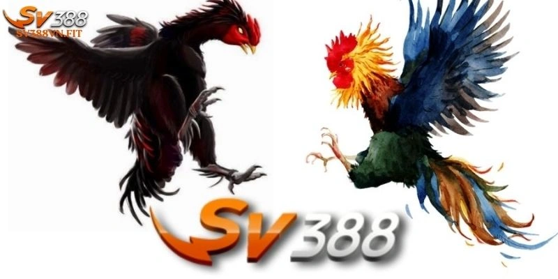 Sv388