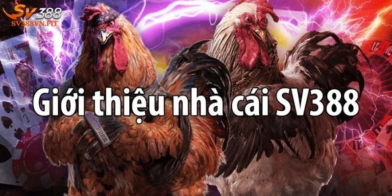 đăng ký Sv388